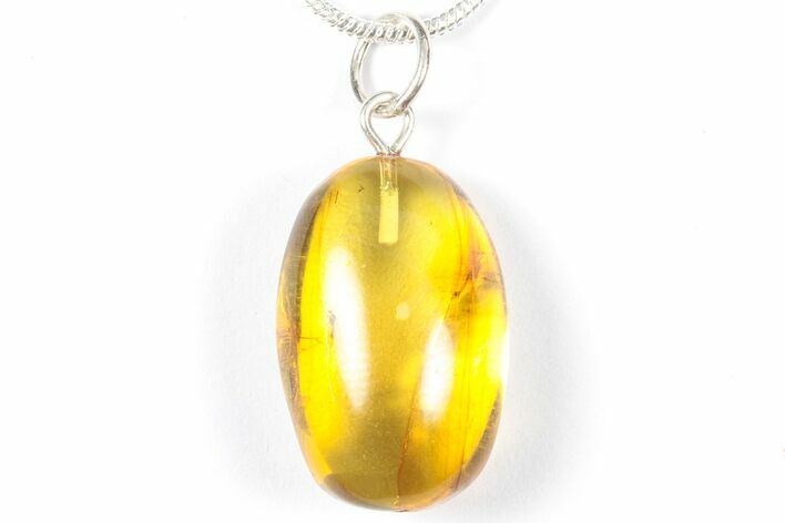 Polished Baltic Amber Pendant (Necklace) - Contains Fly! #357992